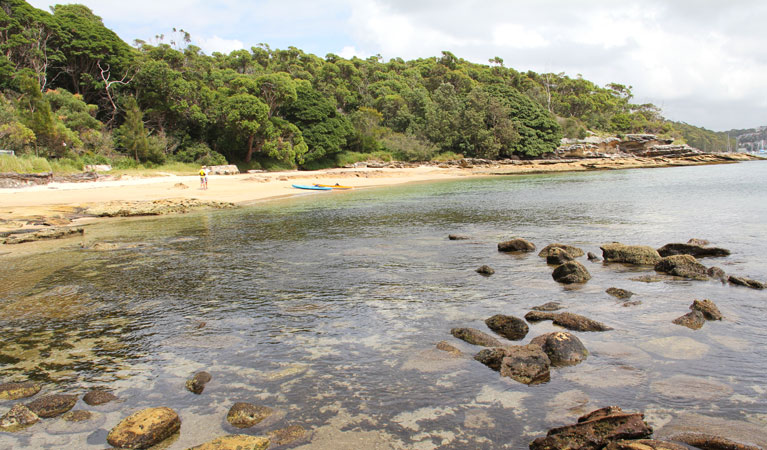 Reef Beach Logo and Images