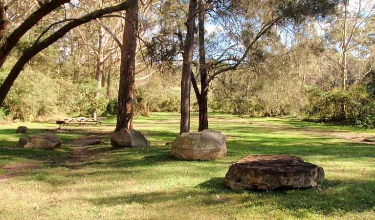 Moola picnic area Logo and Images