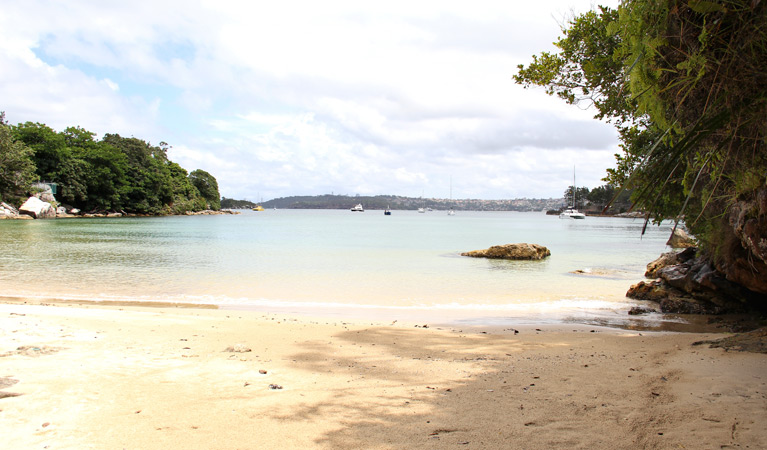 Collins Flat Beach Logo and Images