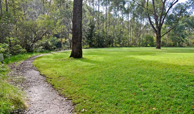 Riverside walking track Logo and Images