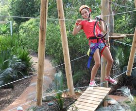 Urban Jungle Adventure Park Logo and Images