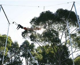 Circus Arts Sydney Logo and Images