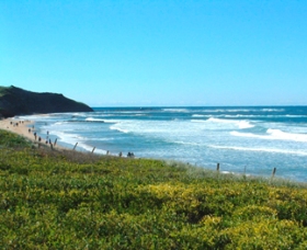 Long Reef Beach Logo and Images