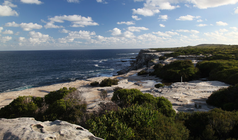 Cape Solander Logo and Images