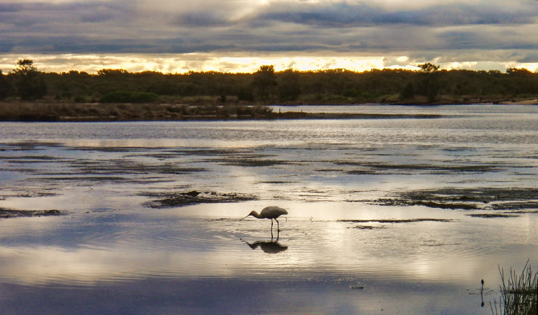 Towra Point Nature Reserve Logo and Images