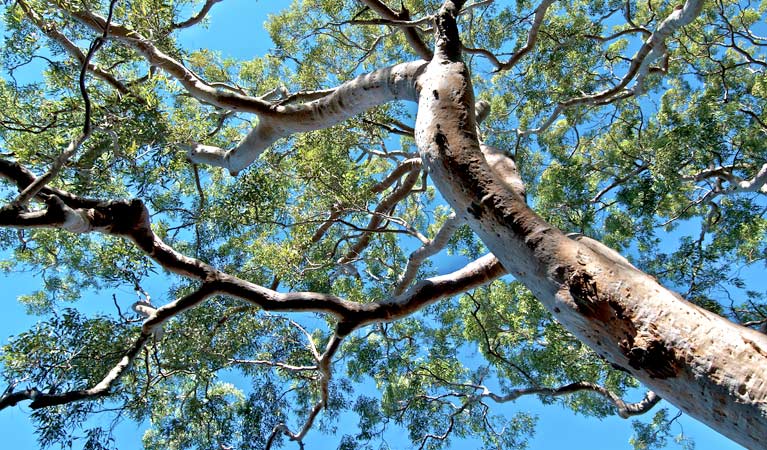 Georges River National Park Logo and Images