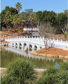 Nurragingy Reserve Logo and Images