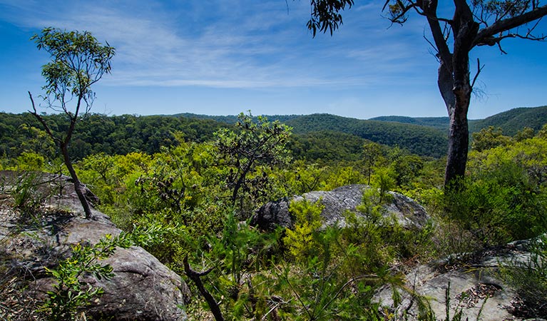 Marramarra Ridge to Smugglers Ridge walking track Logo and Images