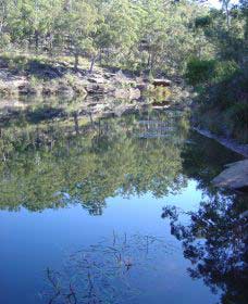 Freres Crossing Bushwalk Logo and Images