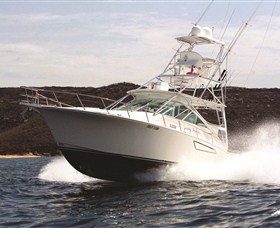 1300 Big Fish Logo and Images