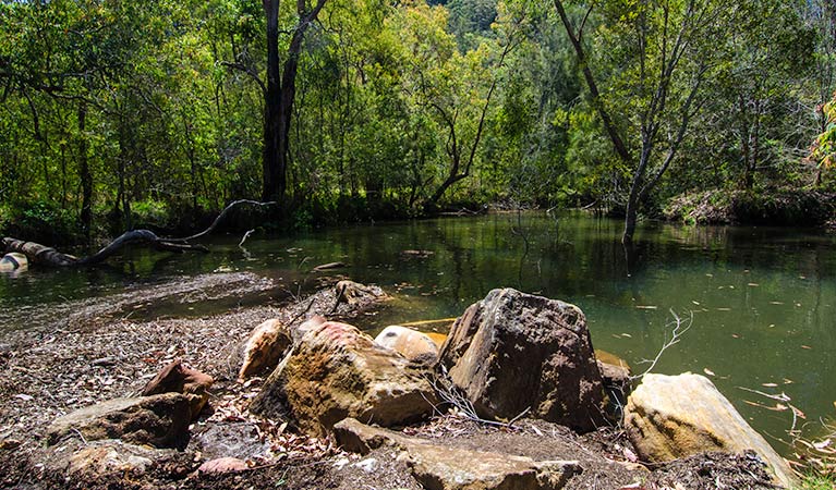 Marramarra National Park Logo and Images