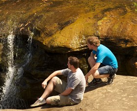 Georges River Nature Reserve Logo and Images