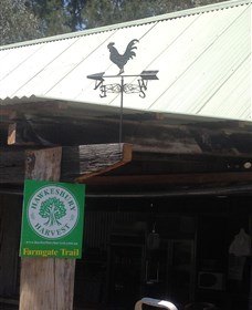 Canoelands Orchard Logo and Images