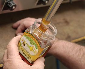 Blue Mountains Honey Company - The Honey Shed Logo and Images