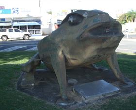 Big Cane Toad Logo and Images