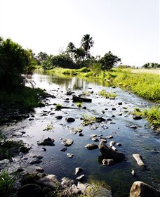 Gooseponds, North Mackay Logo and Images