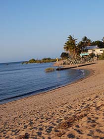 Lamberts Beach Logo and Images