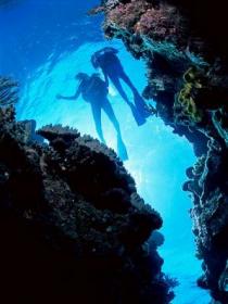 Caves and Canyons Dive Site Logo and Images