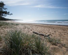 Mon Repos Beach Logo and Images