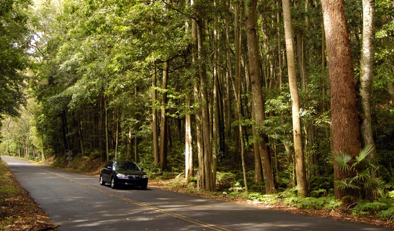 Greater Blue Mountains drive Logo and Images