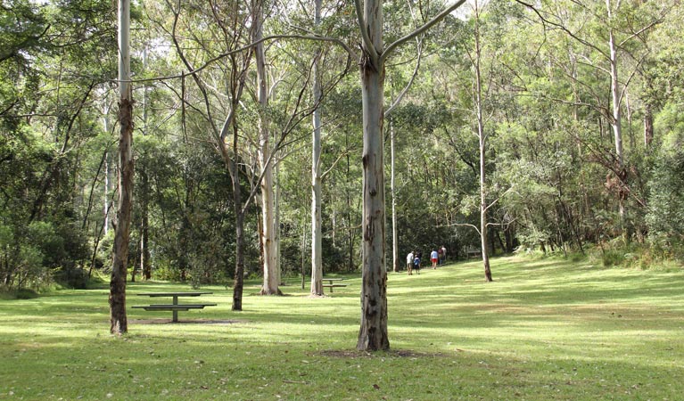 Mill Creek picnic area Logo and Images