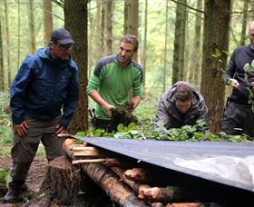 Bear Grylls Survival Academy Logo and Images