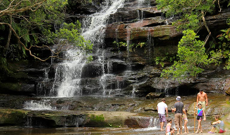 Somersby Falls picnic area Logo and Images