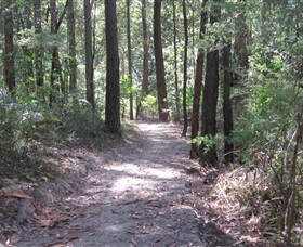 Strickland State Forest Logo and Images