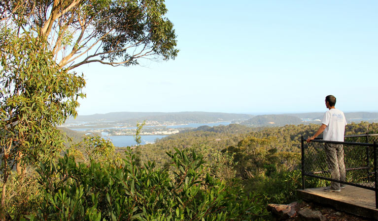 Staples lookout Logo and Images