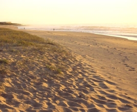 Fairy Meadow Beach Logo and Images