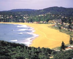 Avoca Beach Logo and Images
