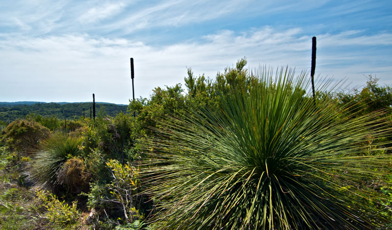 Munmorah State Conservation Area Logo and Images