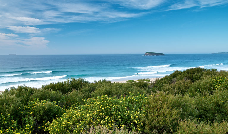 Tea Tree picnic area and lookout Logo and Images