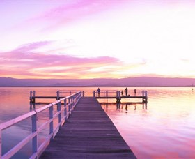 Lake Illawarra Logo and Images
