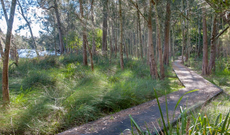 Anabranch loop track Logo and Images