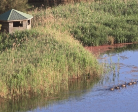 Spring Creek Bird Hide Logo and Images