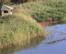 Spring Creek Wetlands Walk Logo and Images