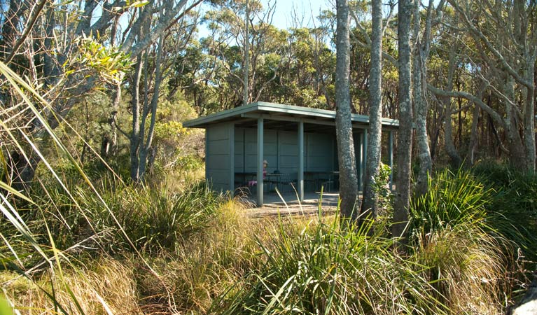 Conjola National Park Logo and Images