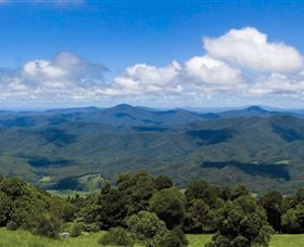 Griffith Lookout Logo and Images