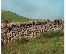 Historic Dry Stone Walls Logo and Images