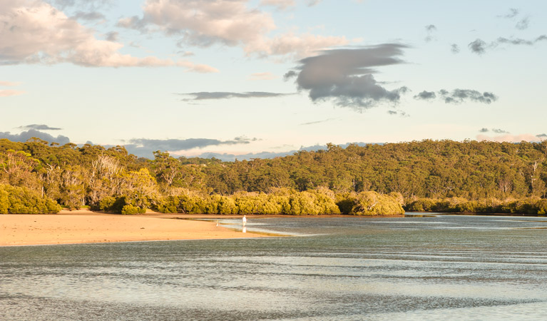 Narrawallee Inlet walking track Logo and Images