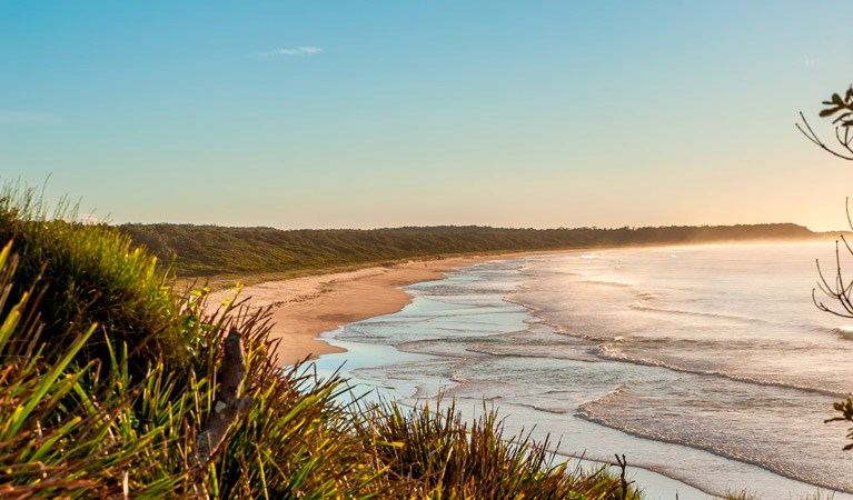 Burrawang track - Conjola Beach to Buckleys Point Logo and Images