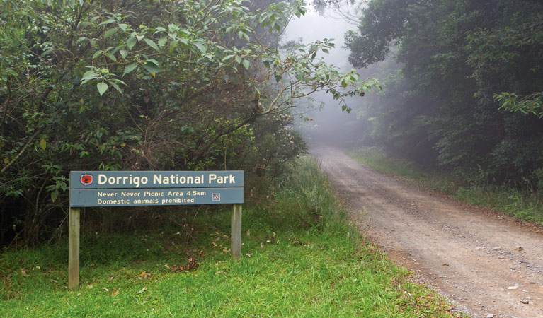 Never Never picnic area Logo and Images