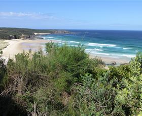 South Pacific Heathland Reserve Image