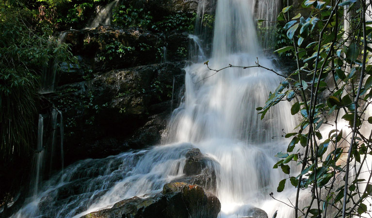 Bangalore Falls walking track Logo and Images