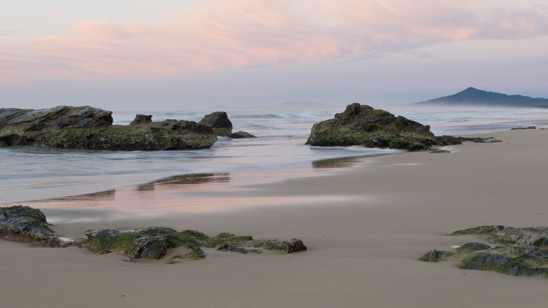 Bongil Bongil National Park Logo and Images