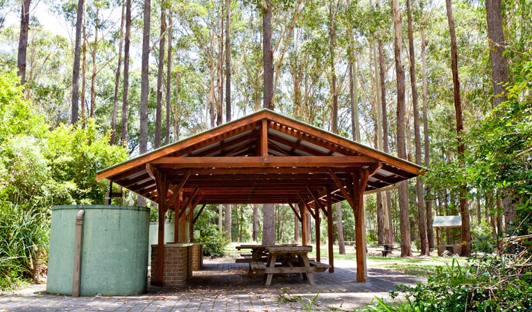 Bongil picnic area Logo and Images