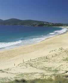 One Mile Beach Logo and Images