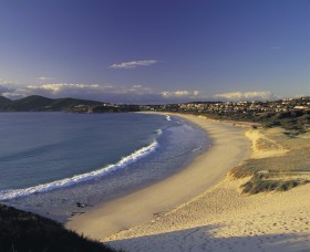 Forster Town Beach Logo and Images