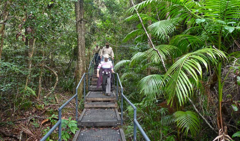 Falls walking track Logo and Images